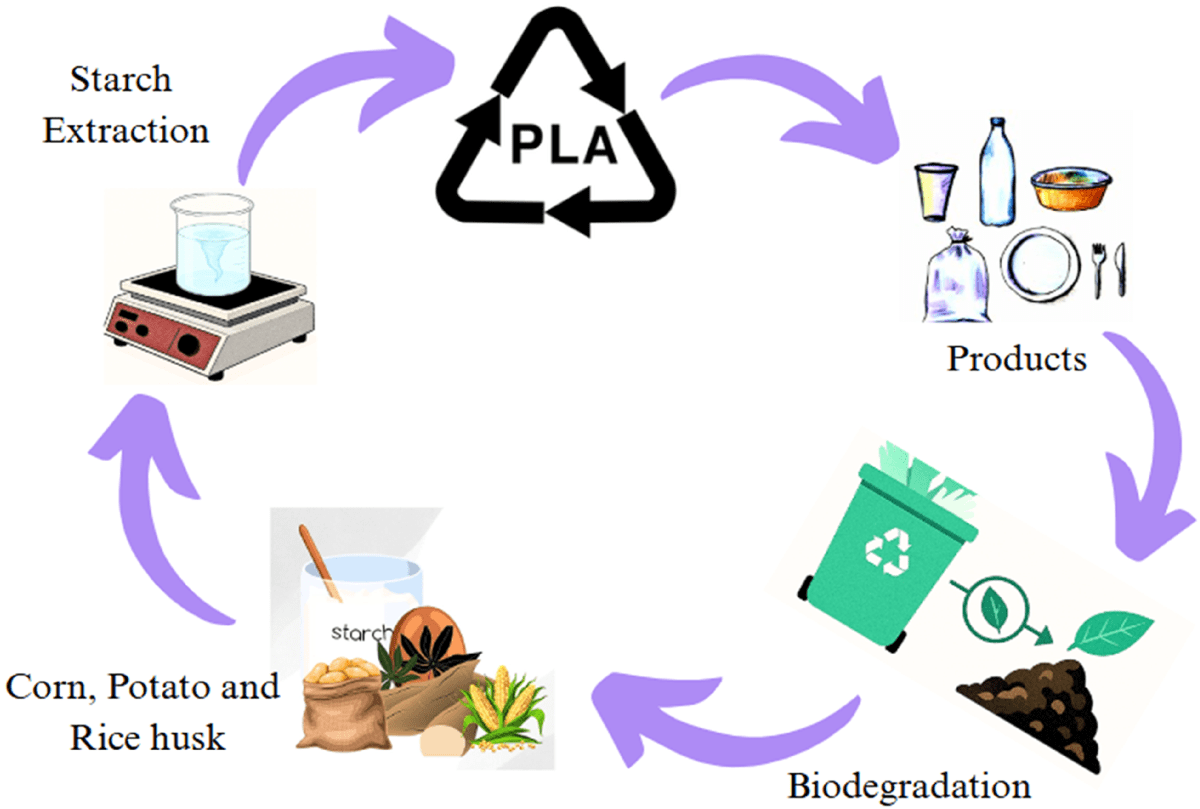 World's Top Biodegradable Packaging Materials Manufacturers - MTPak